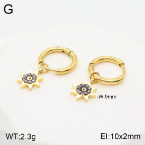 2E4003689baka-723  Stainless Steel Earrings