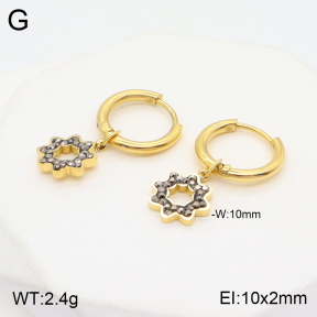 2E4003691baka-723  Stainless Steel Earrings