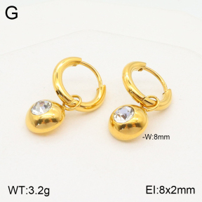 2E4003692ablb-723  Stainless Steel Earrings