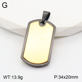 2P2002988bbov-436  Stainless Steel Pendant