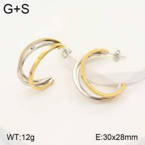 2E2004582vbmb-434  Stainless Steel Earrings