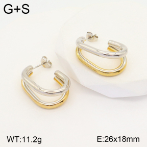 2E2004585vbll-434  Stainless Steel Earrings