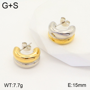 2E2004588vbnl-434  Stainless Steel Earrings