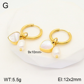 2E3002665bbov-434  Stainless Steel Earrings