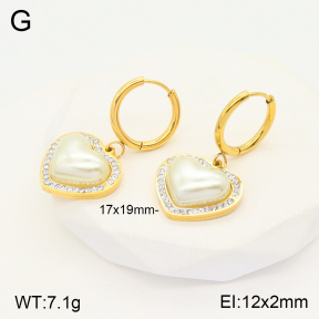 2E3002666vbnl-434  Stainless Steel Earrings