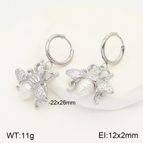 2E3002668bbov-434  Stainless Steel Earrings