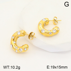 2E4003703abol-434  Stainless Steel Earrings