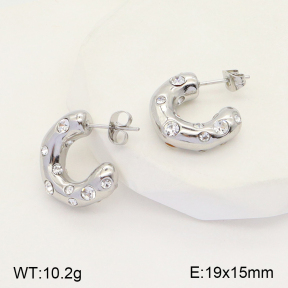 2E4003704bbov-434  Stainless Steel Earrings