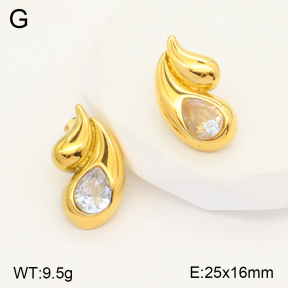 2E4003705vbnb-434  Stainless Steel Earrings