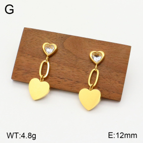 2E4003707bbml-434  Stainless Steel Earrings