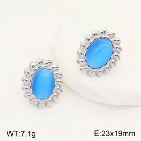 2E4003717vbmb-434  Stainless Steel Earrings