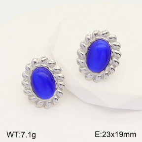 2E4003718vbmb-434  Stainless Steel Earrings