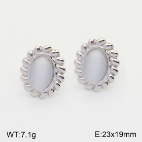 2E4003719vbmb-434  Stainless Steel Earrings