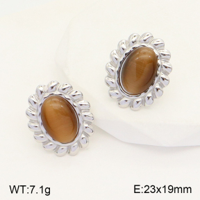 2E4003720vbmb-434  Stainless Steel Earrings