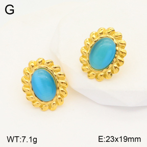 2E4003723bbml-434  Stainless Steel Earrings