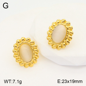 2E4003724bbml-434  Stainless Steel Earrings