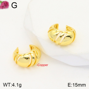 F2E201373bbml-J59  Fashion Copper Earrings