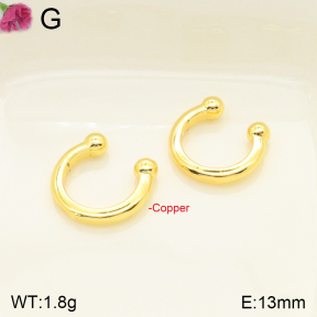 F2E201412vbll-J59  Fashion Copper Earrings