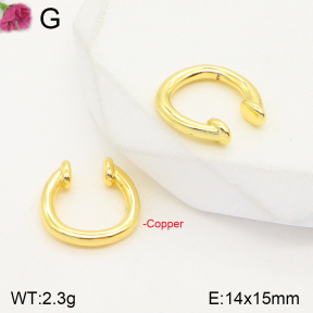 F2E201433vbll-J59  Fashion Copper Earrings