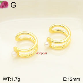 F2E300683vbnl-J59  Fashion Copper Earrings