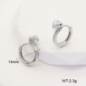 6E2006728vbnl-253  Stainless Steel Earrings