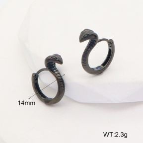 6E2006729bbov-253  Stainless Steel Earrings