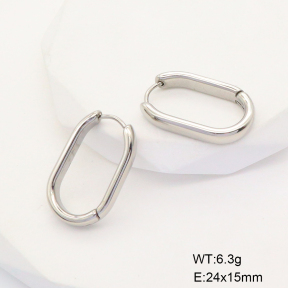 6E2006731vbnl-253  Stainless Steel Earrings