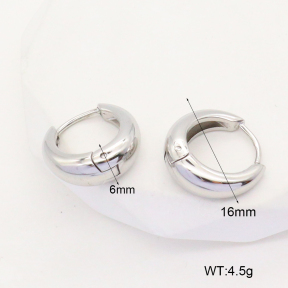 6E2006736vbnl-253  Stainless Steel Earrings