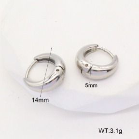 6E2006738vbnl-253  Stainless Steel Earrings