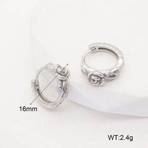 6E2006740vbnl-253  Stainless Steel Earrings