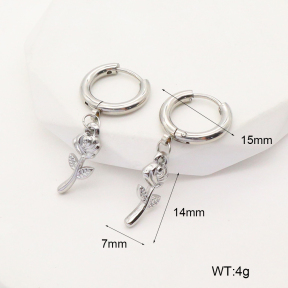 6E2006741aakl-253  Stainless Steel Earrings