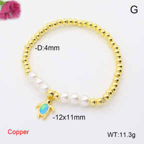 F6B300875vbmb-L017  Fashion Copper Bracelet