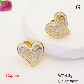 F6E405185bbov-L017  Fashion Copper Earrings