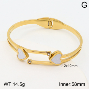 2BA300356vbnb-377  Stainless Steel Bangle