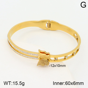 2BA401632bbov-377  Stainless Steel Bangle