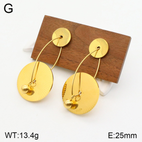 2E2004578vbpb-669  Stainless Steel Earrings