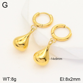 2E2004579abol-669  Stainless Steel Earrings