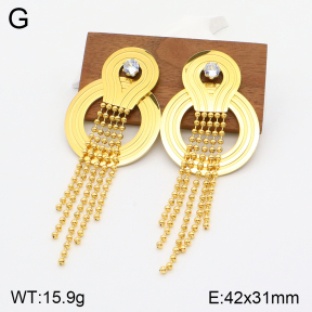 2E4003694bhil-669  Stainless Steel Earrings