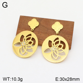 2E4003695bvpl-669  Stainless Steel Earrings