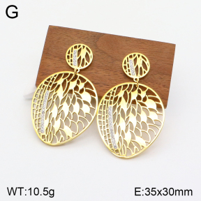 2E4003696bhva-669  Stainless Steel Earrings