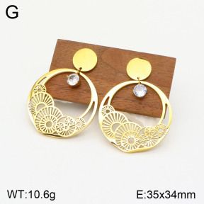 2E4003697vbpb-669  Stainless Steel Earrings