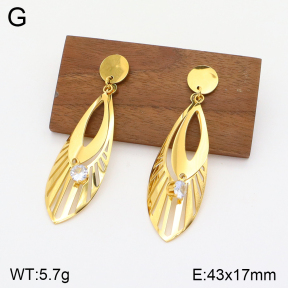 2E4003699vbpb-669  Stainless Steel Earrings