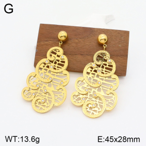 2E4003700bhil-669  Stainless Steel Earrings