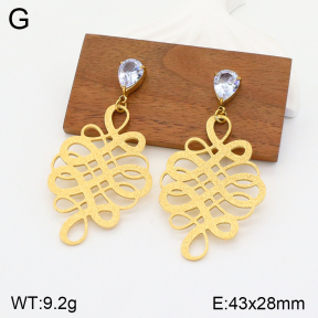 2E4003702bhva-669  Stainless Steel Earrings