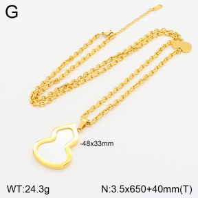 2N3001913bhil-669  Stainless Steel Necklace