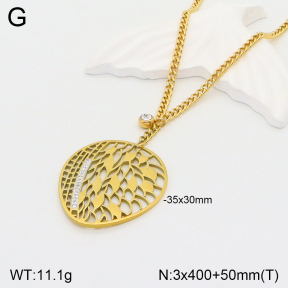 2N4003146vbpb-669  Stainless Steel Necklace