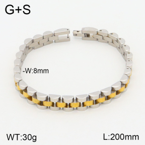 2B2003003ahpv-311  Stainless Steel Bracelet