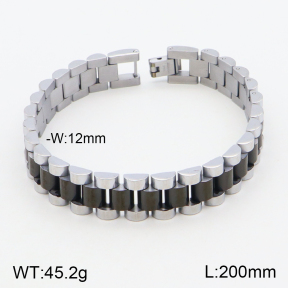 2B2003015vihb-311  Stainless Steel Bracelet