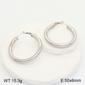 2E2004622vhha-649  Stainless Steel Earrings