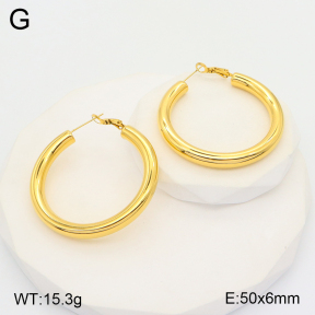 2E2004623ahjb-649  Stainless Steel Earrings